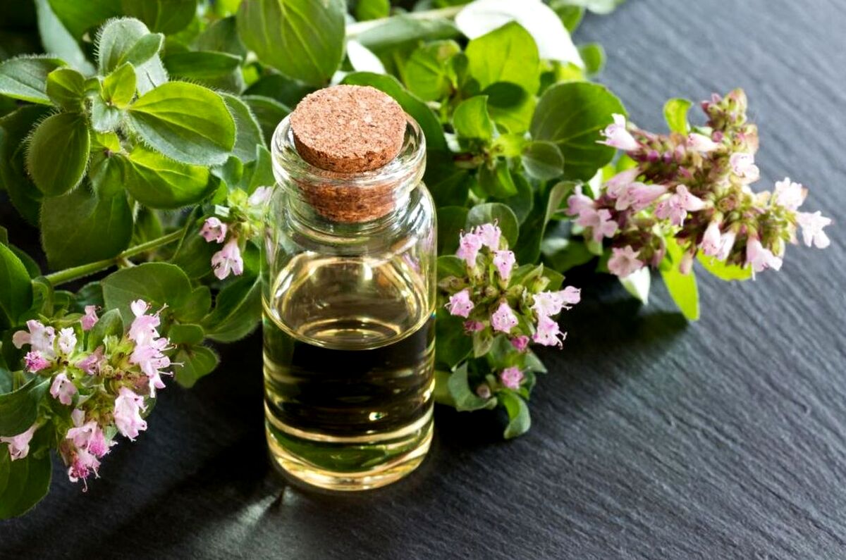 عرق مرزه برای آقایان