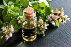 فواید عرق مرزه برای تقویت اسپرم آقایان 