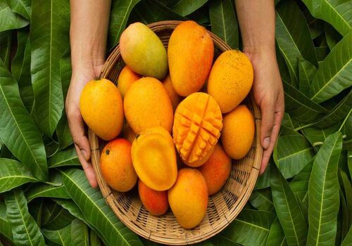 می خوای پوستت همیشه سالم باشه؟ انبه معجزه میکنه! 