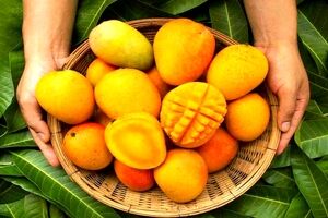 می خوای پوستت همیشه سالم باشه؟ انبه معجزه میکنه! 