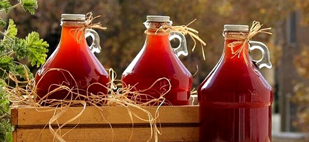 آبغوره برای لاغری