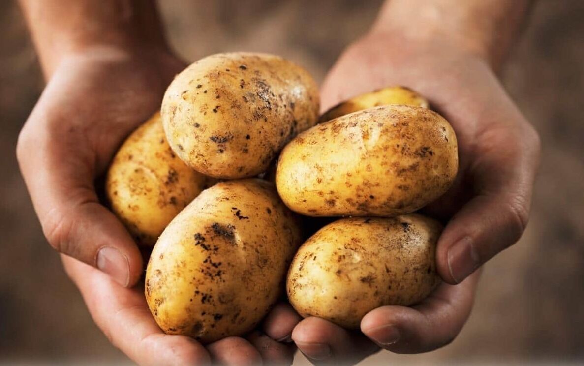 بهترین شرایط برای نگهداری از سیب زمینی خام