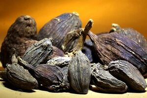 این دانه در طب سنتی به عنوان پادشاه پزشکی شناخته می شود