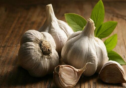 سیر رو چجوری بخوریم تا لاغر شیم؟ 