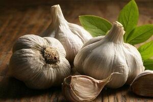 سیر رو چجوری بخوریم تا لاغر شیم؟ 
