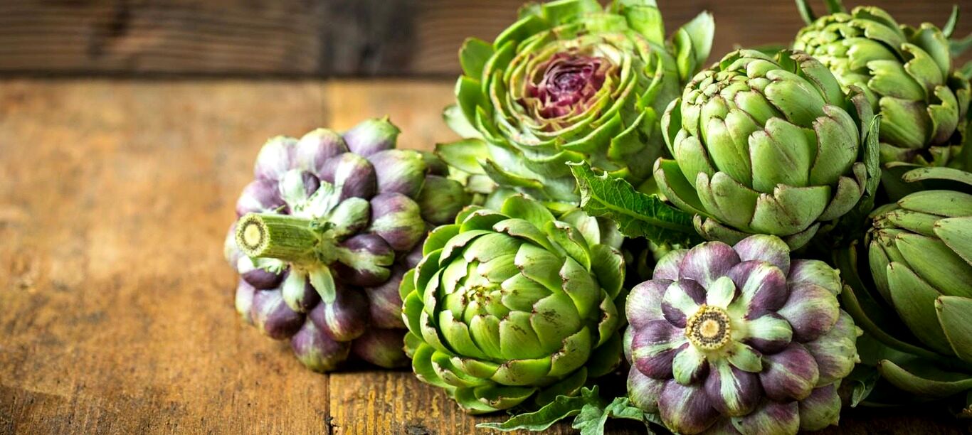 کنگر فرنگی؛ یک سبزی همه کاره در طب سنتی + فواید  