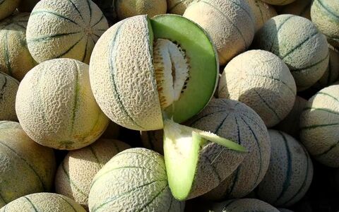 همه خواص طالبی در طب سنتی؛ فواید، کالری، طبع و ارزش غذایی آن 