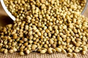 ۵ ویژگی مهم تخم گشنیز برای لاغری + طریقه مصرف 