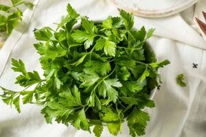 دم کرده این سبزی برای زودتر پریود شدن معجزه میکنه