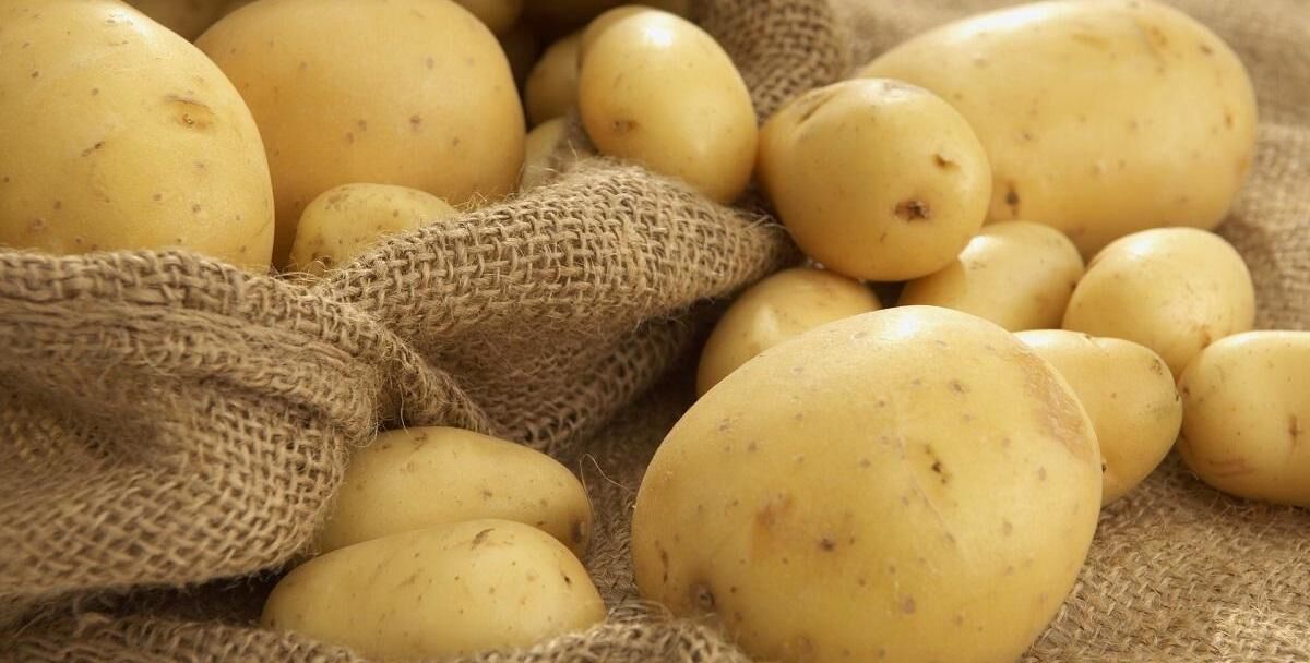 رژیم سیب زمینی