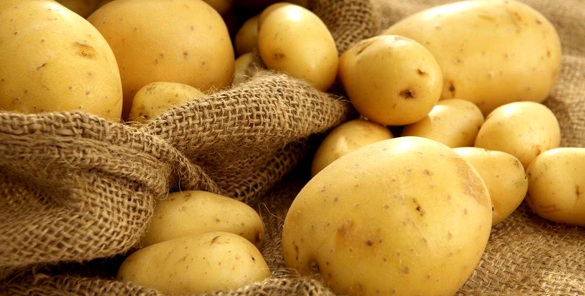 رژیم سیب زمینی