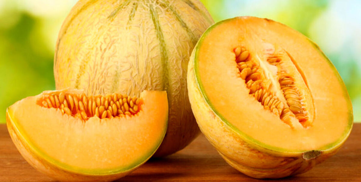 طالبی برای دیابت