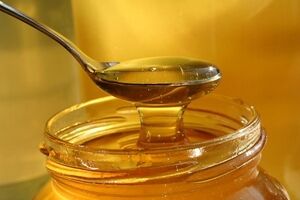 با عسل ترنجبین آشنا شو تا بتونی کلی از بیماری ها رو درمان کنی + نحوه مصرف