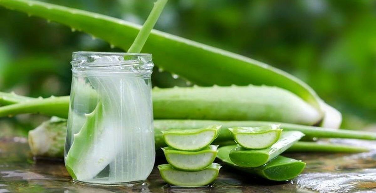 آلوئه ورا برای دندان
