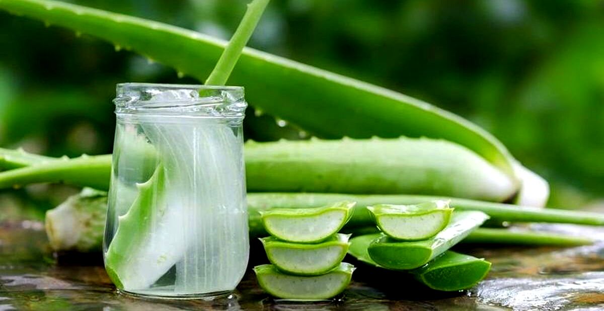 آلوئه ورا برای دندان