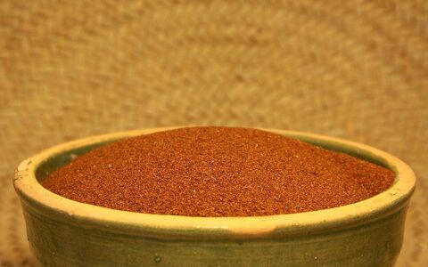 فواید خاکشیر در بارداری؛ چه خواص و مضراتی دارد؟