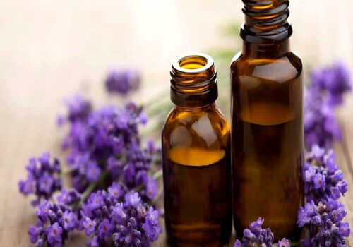 عرق اسطوخودوس با طعم تلخ و فواید شیرینش، معجزه میکنه 