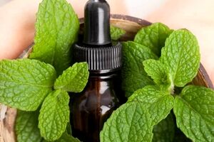 بهبود مشکلات تیروئید با استفاده از این ۱۲ روغن گیاهی 