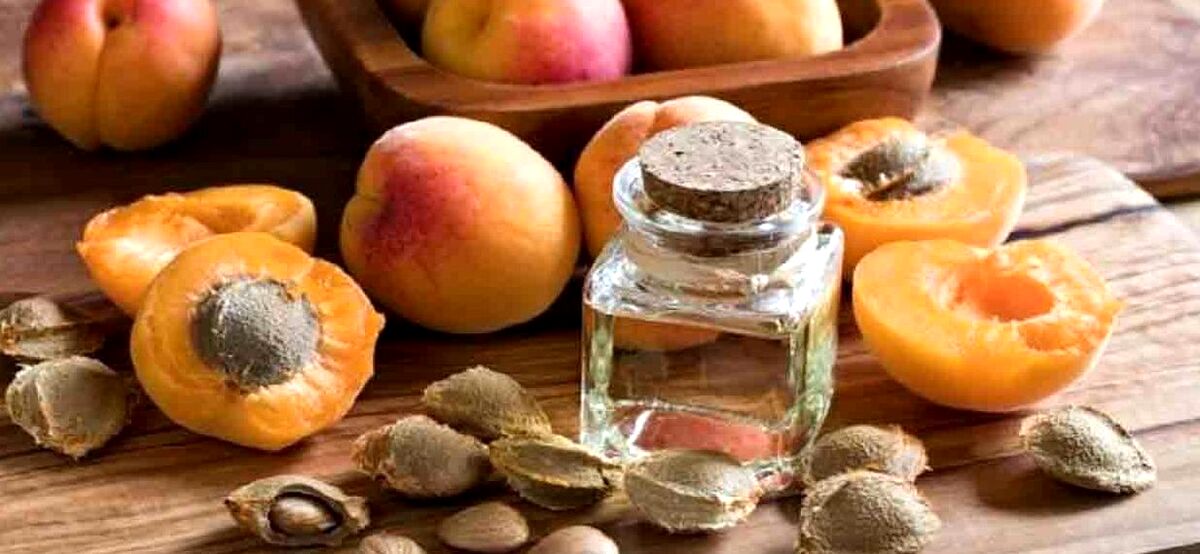 روغن هسته زردآلو