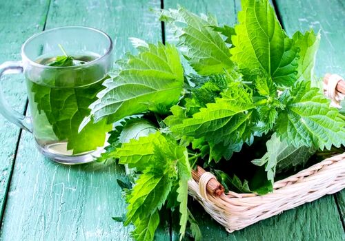 این اسانس گیاهی در کوتاه ترین زمان زخم های پوستی را درمان می کند