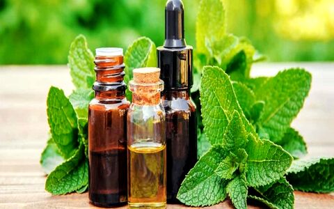 عرق نعنا رو با چی ترکیب کنیم تا بترکونه؟ 