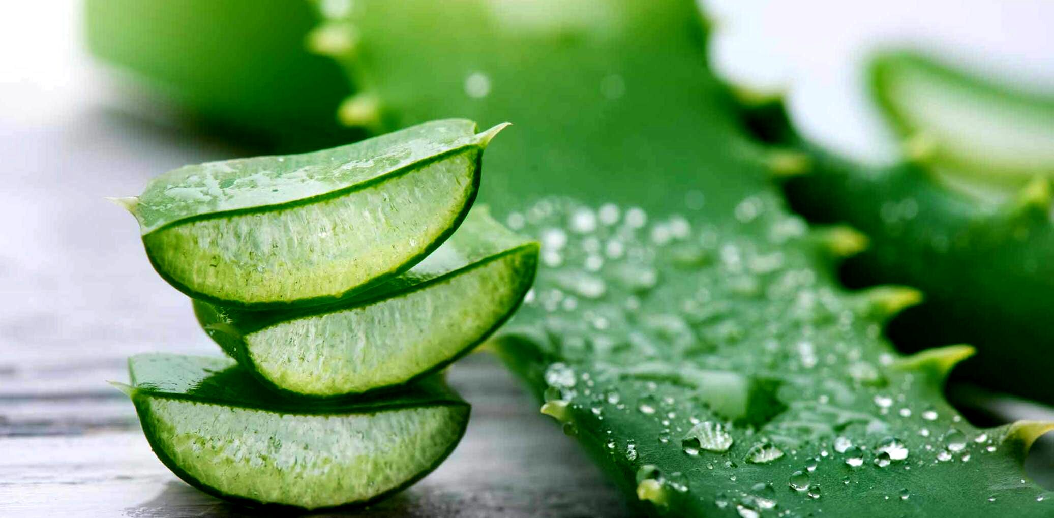 خواص شگفت انگیز آلوئه ورا برای معده درد