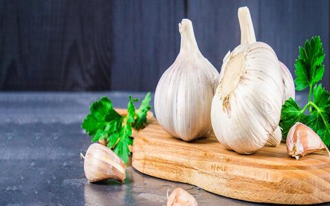 مهم ترین خواص سیر برای سلامت بدن + طبع و مصلح آن