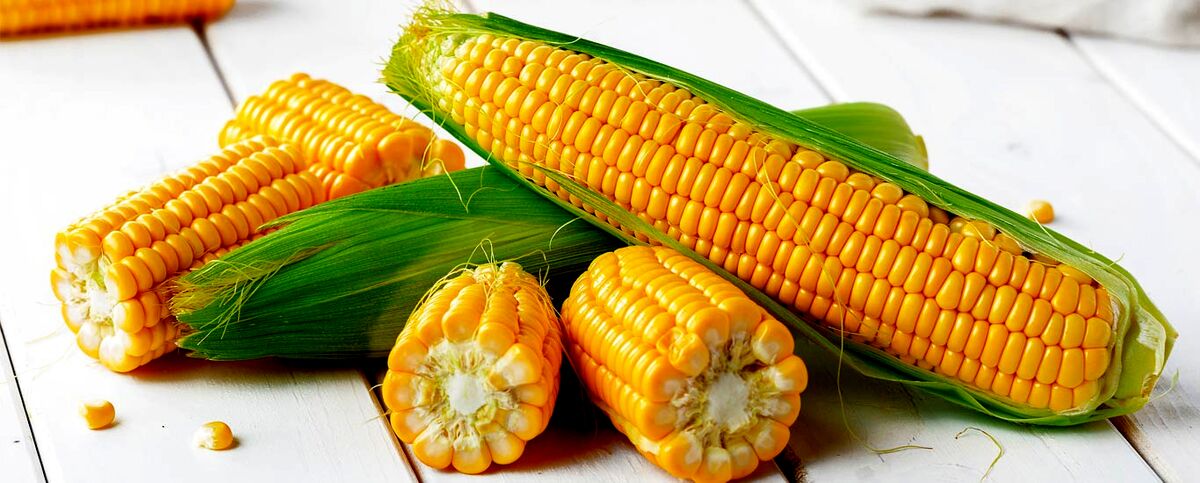 ذرت 