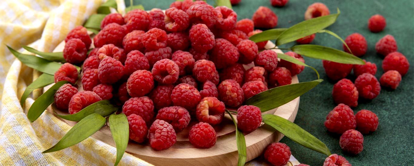 همه چیز درباره تمشک و خواص آن برای بدن + عکس 
