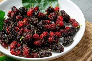 شاه توت و خواص آن