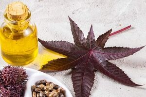 رشد سریع مو با روغن کرچک