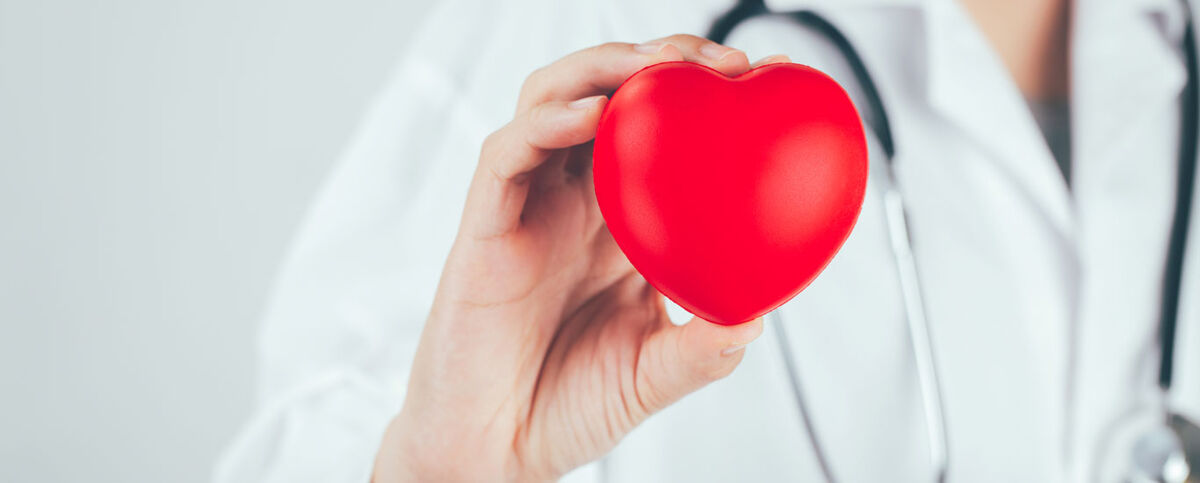 گیاهان دارویی برای کاهش کلسترول