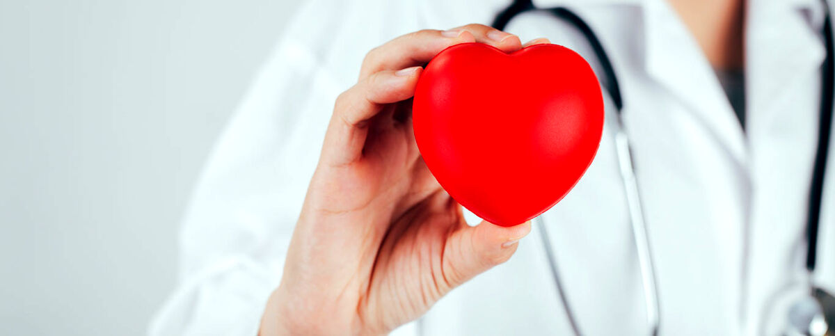 گیاهان دارویی برای کاهش کلسترول