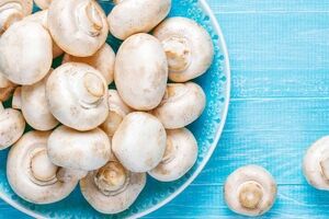 خواص شگفت انگیز و مفید قارچ سفید