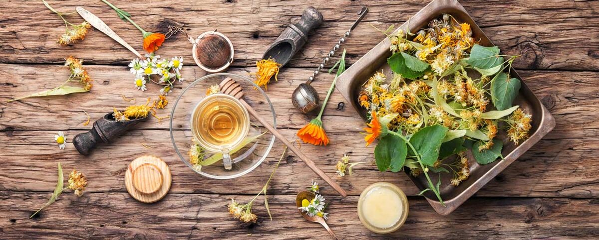 شیوه مصرف گیاهان دارویی