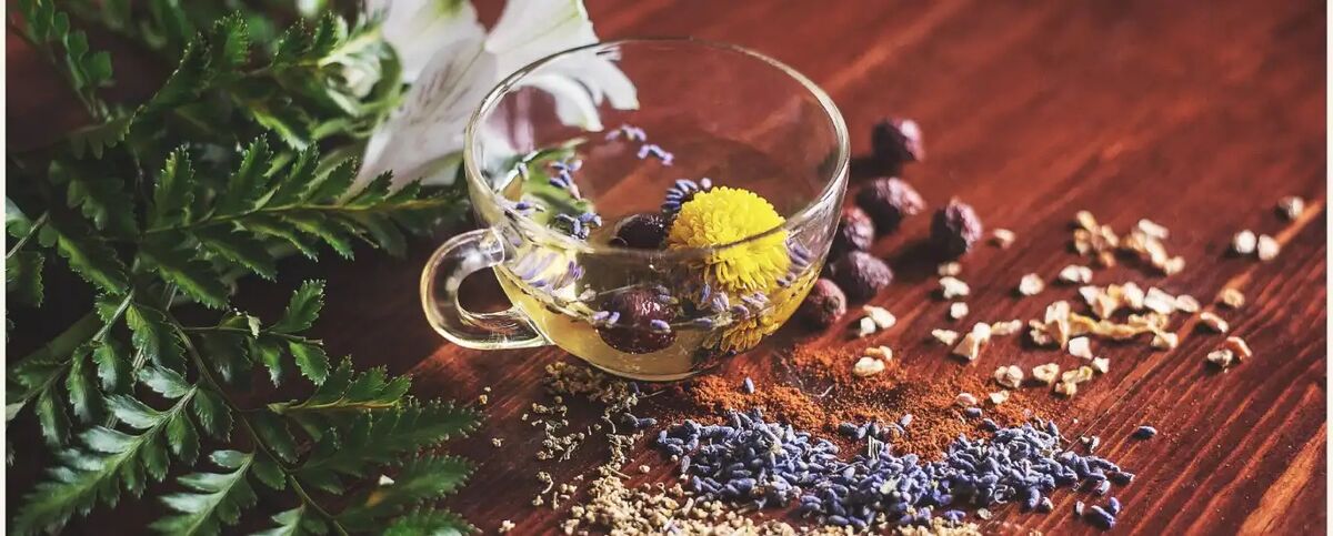 دمنوش های گیاهی برای سرماخوردگی