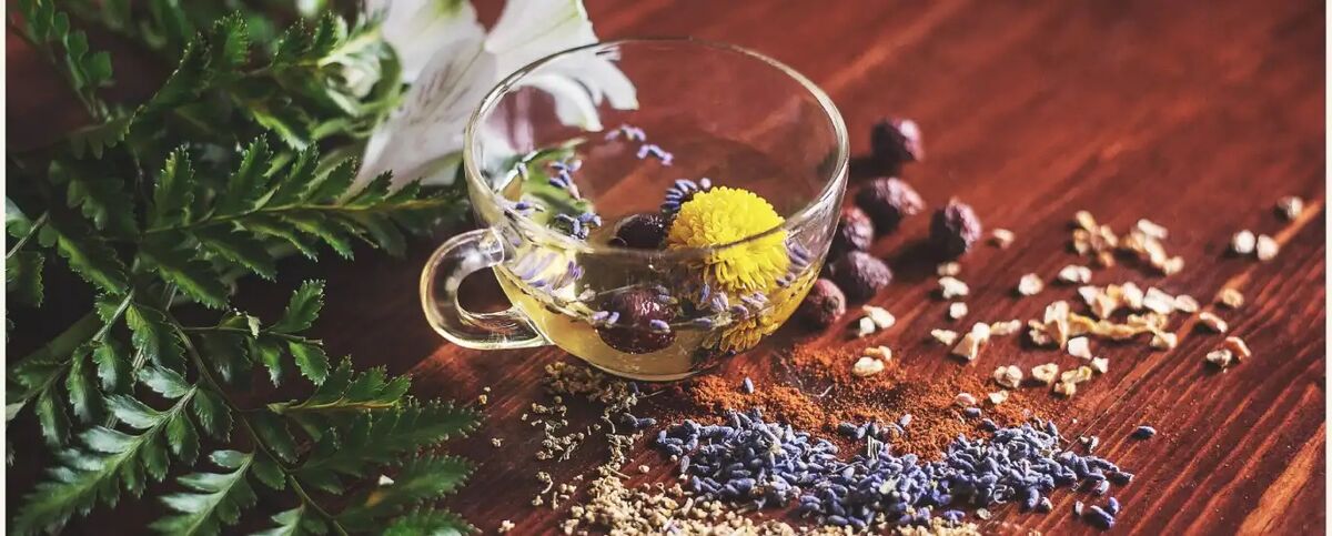 دمنوش های گیاهی برای سرماخوردگی