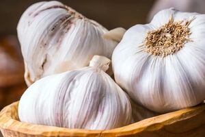 فواید درمانی سیر برای سلامت بدن