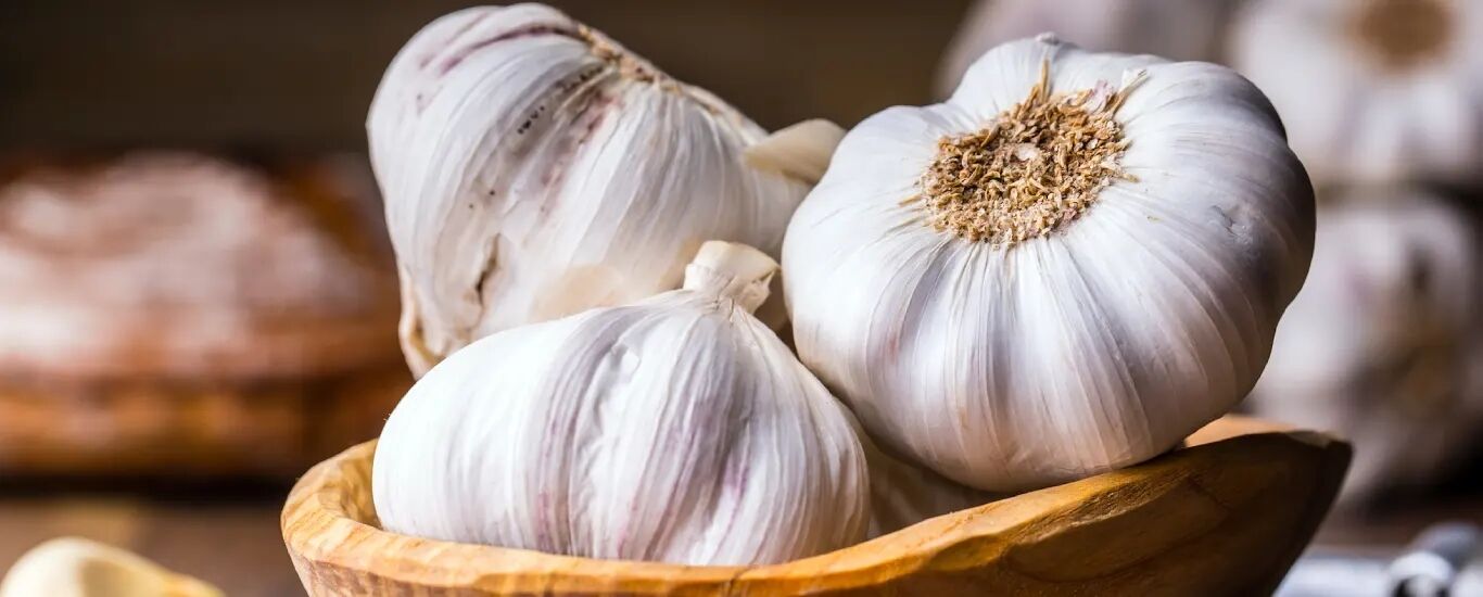 فواید درمانی سیر برای سلامت بدن