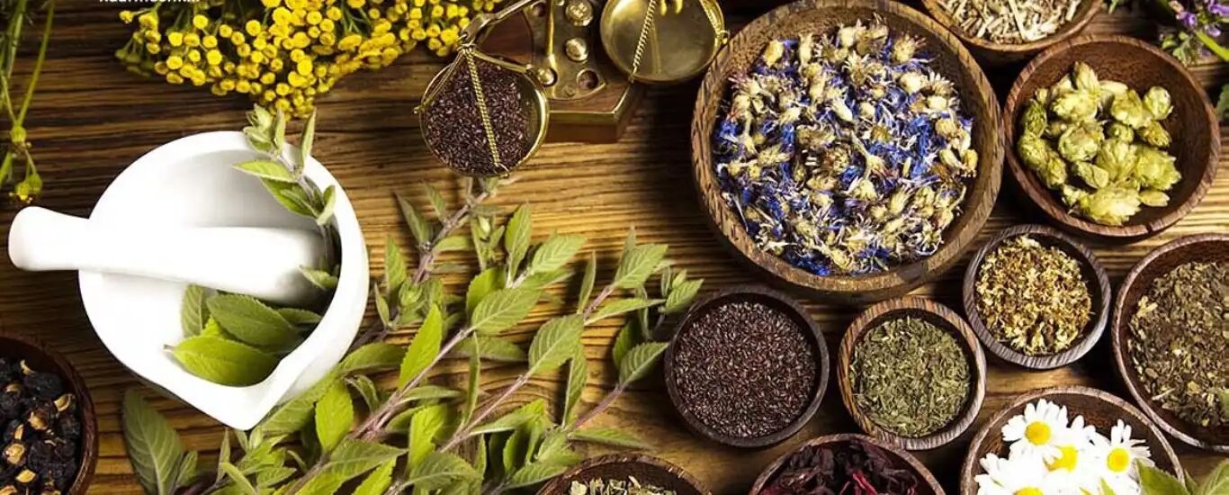 گیاهان دارویی مفید برای سلامت ریه | رفع عفونت ریه با گیاه دارویی