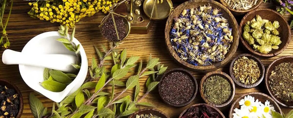 گیاهان دارویی مفید برای سلامت ریه
