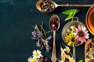 دمنوش های موثر برای دفع سنگ کلیه