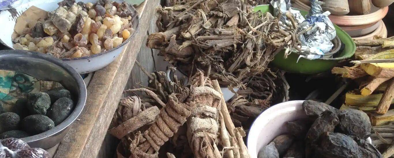 گیاهان دارویی مفید برای کنترل رماتیسم مفصلی