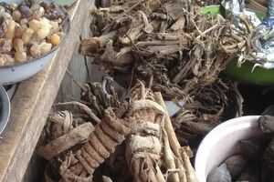 گیاهان دارویی مفید برای کنترل رماتیسم مفصلی