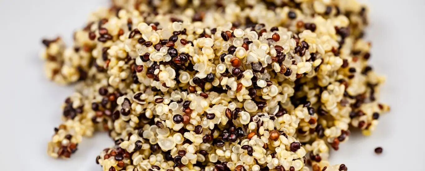 خواص شگفت انگیز کینوا برای سلامت بدن + طبع و ارزش غذایی 