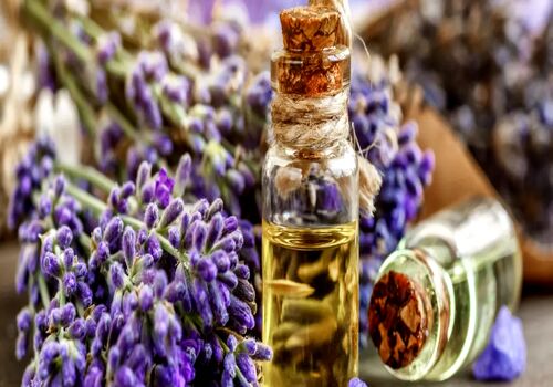مهمترین فواید روغن اسطوخودوس + نحوه مصرف