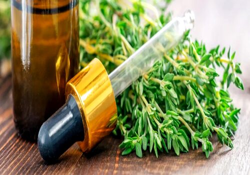 همه چیز درباره خواص بی نظیر روغن آویشن + طریقه مصرف