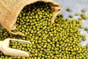خواص ماش؛ یکی از حبوبات پرخاصیت + طبع و ارزش غذایی