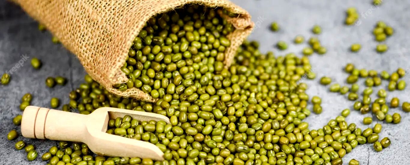 خواص ماش؛ یکی از حبوبات پرخاصیت + طبع و ارزش غذایی