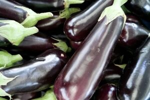کلاهک بادمجان معجزه ای برای سلامت بدن + طبع و نحوه مصرف